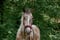 Horse ad
