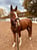 Horse ad
