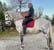 Anuncio de caballos