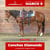 Horse ad