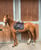 Horse ad
