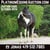 Horse ad