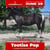 Annuncio cavallo