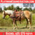 Horse ad