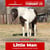 Horse ad