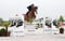 Horse ad