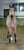Horse ad