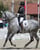 Horse ad