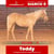 Horse ad