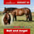 Annonce cheval