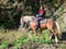 Anuncio de caballos