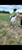 Annuncio cavallo