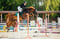 Annuncio cavallo