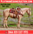 Horse ad