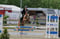 Horse ad