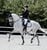 Annonce cheval