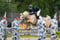 Annonce cheval