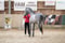 Anuncio de caballos