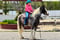 Horse ad