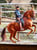 Anuncio de caballos