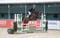 Horse ad