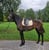 Horse ad