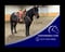 Horse ad