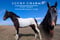 Horse ad