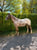 Horse ad