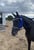 Horse ad