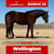 Paardadvertentie