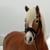 Annonce cheval