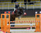 Horse ad