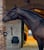 Annuncio cavallo