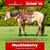 Annuncio cavallo