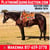 Horse ad