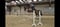 Horse ad