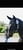 Horse ad