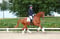 Horse ad