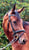 Horse ad