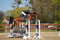 Annuncio cavallo