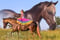 Anuncio de caballos