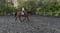 Horse ad