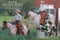 Anuncio de caballos