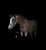 Horse ad