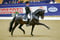 Annuncio cavallo