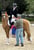 Horse ad