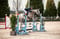 Annuncio cavallo