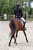 Horse ad