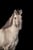 Horse ad